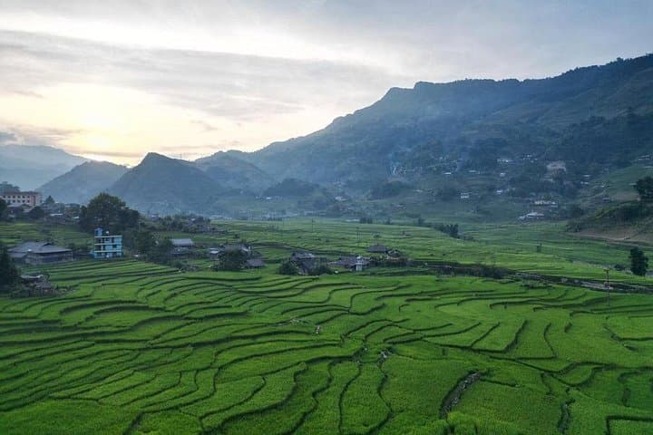Vietnam 7-Day Adventure: Hanoi, Ha Long, Ninh Binh & Central Vietnam Tour photo 2