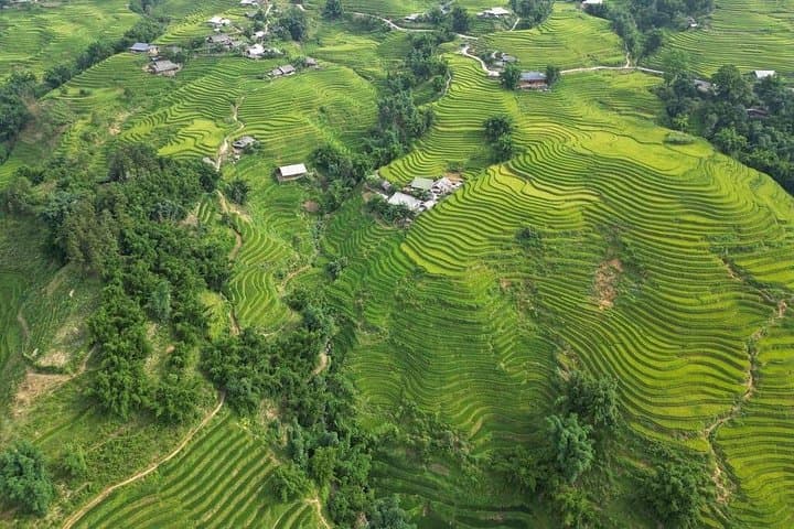 Vietnam 7-Day Adventure: Hanoi, Ha Long, Ninh Binh & Central Vietnam Tour photo 3