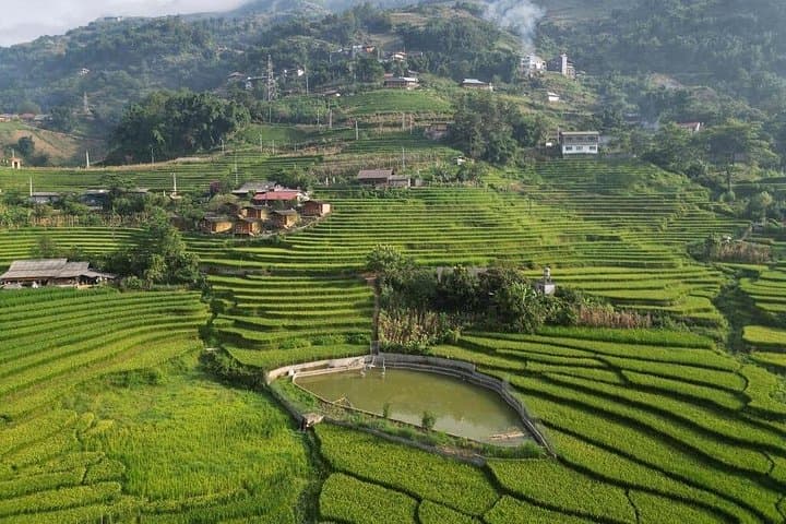 Vietnam 7-Day Adventure: Hanoi, Ha Long, Ninh Binh & Central Vietnam Tour photo 4
