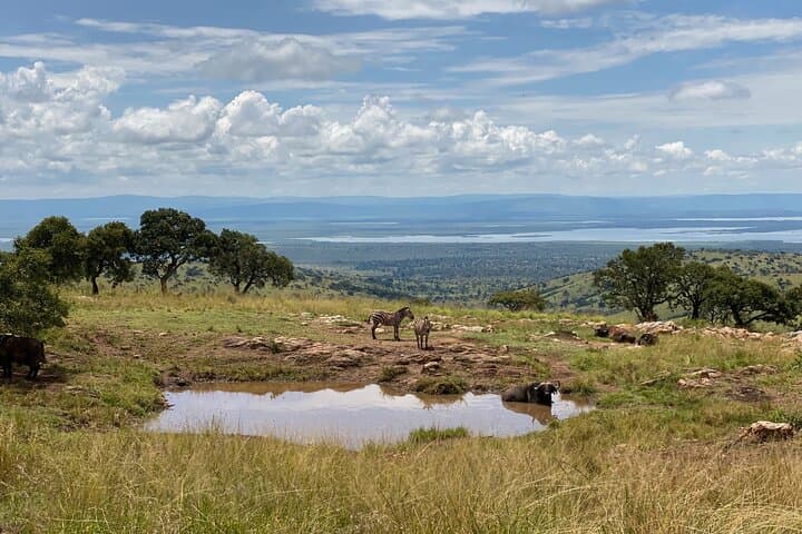 Akagera National Park Day Safari from Kigali — Big Five & Birding in One Day photo 2
