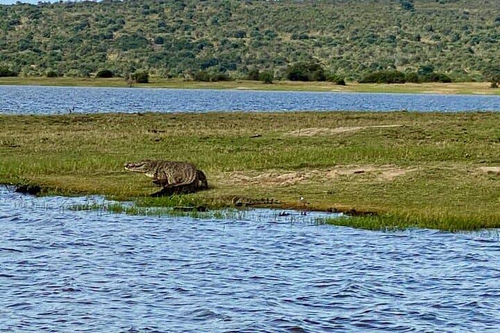 Akagera National Park Day Safari from Kigali — Big Five & Birding in One Day photo 4