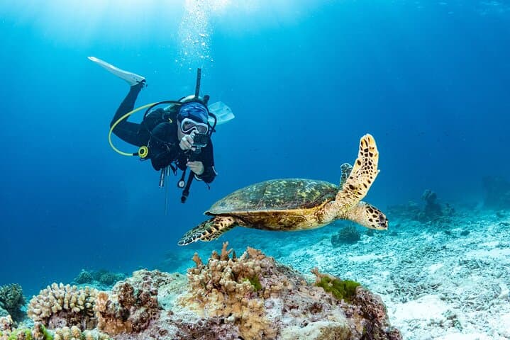 Private Scuba Diving Intro at Caribe Hilton — 3.5-Hour Beginner Dive in San Juan photo 1