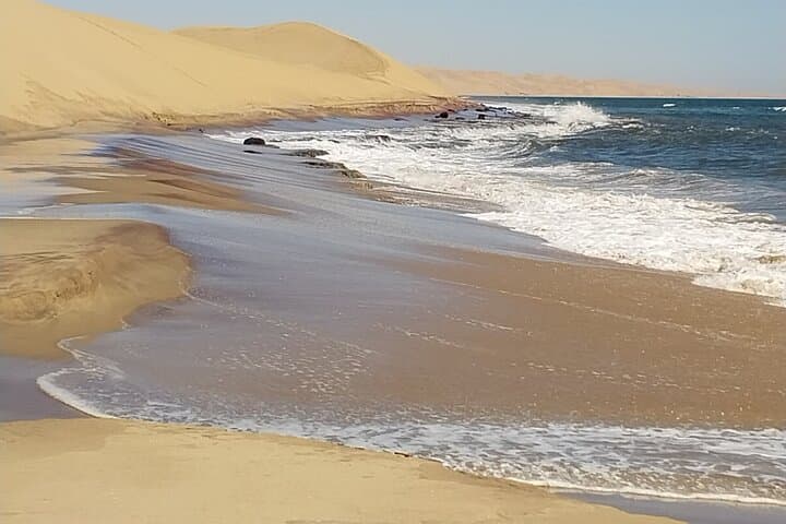Sandwich Harbor Scenic Half-Day: Dunes, Lagoon & Wildlife from Walvis Bay photo 5