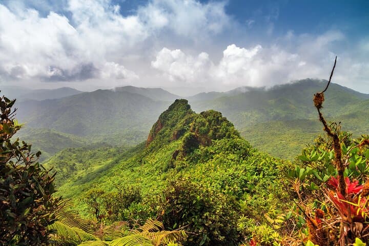 Half-Day El Yunque Rainforest Adventure: Waterfalls, Rope Swings & Natural Slides photo 1