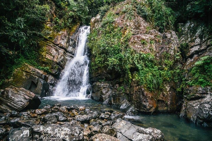 Half-Day El Yunque Rainforest Adventure: Waterfalls, Rope Swings & Natural Slides photo 3