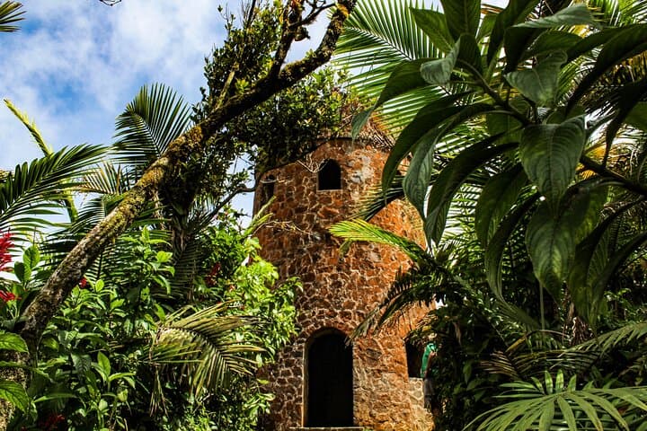 Half-Day El Yunque Rainforest Adventure: Waterfalls, Rope Swings & Natural Slides photo 2