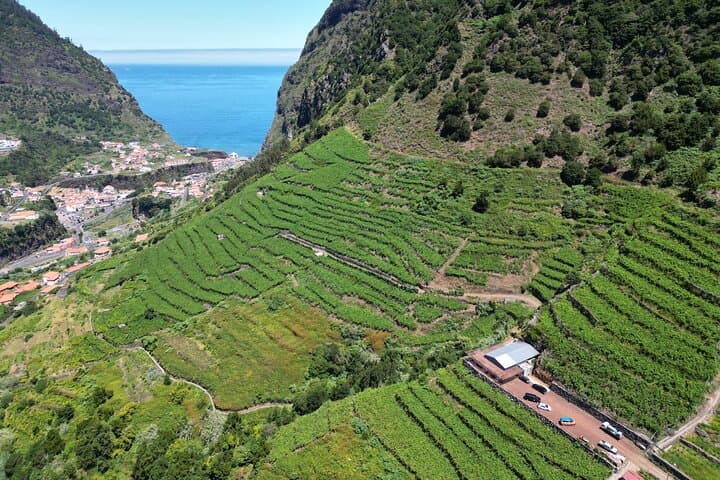 Enchanted Vineyards Wine 4x4 Tour and Cabo Girão Skywalk — Madeira Wine Safari photo 2