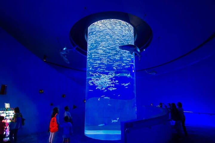 Inside Hurghada Grand Aquarium: Walk the Red Sea in Glass photo 4