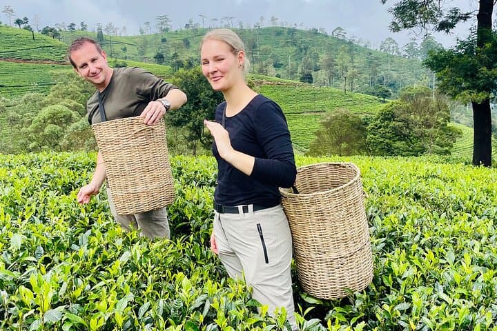Ramboda Falls & Nuwara Eliya Tea Factory Tour — Plantation, Processing & Views