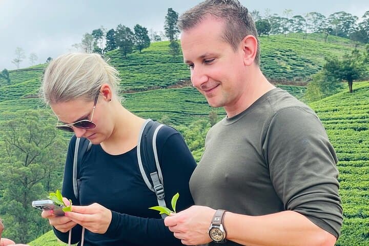 Ramboda Falls & Nuwara Eliya Tea Factory Tour — Plantation, Processing & Views photo 2