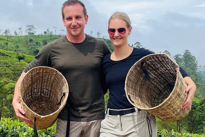 Ramboda Falls & Nuwara Eliya Tea Factory Tour — Plantation, Processing & Views photo 3