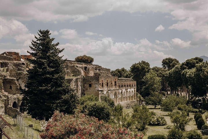 Pompeii Guided Tour from Sorrento: Ruins, Lunch & Vesuvius Wine Tasting photo 4