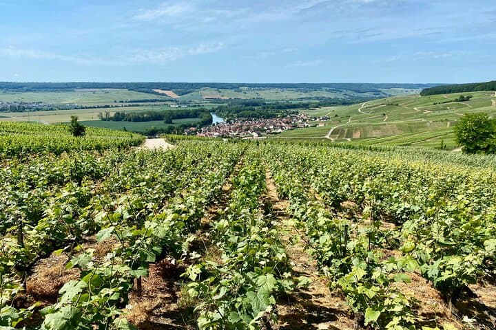 VIP Champagne Day Trip: Moët & Chandon and Ruinart Cellars from Paris photo 2