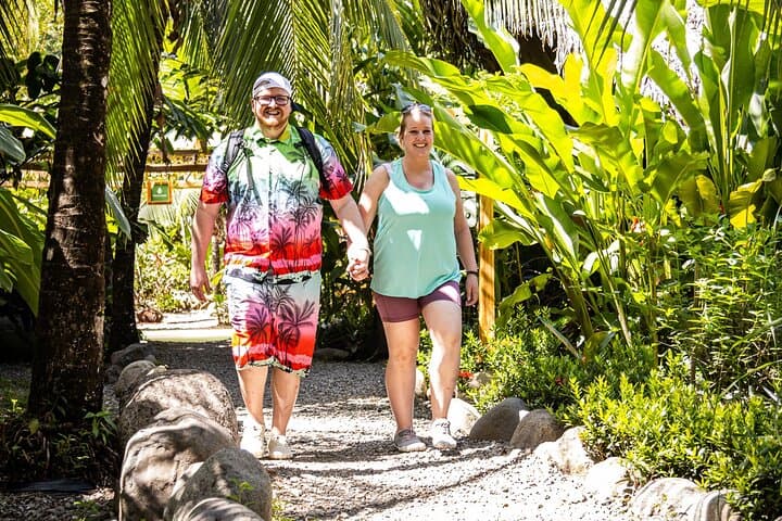 Mangrove Walk: Quepos Monkey & Mangrove Hike in Costa Rica