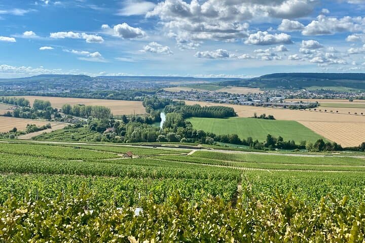 Private Champagne Day Trip from Paris to Moët & Veuve Clicquot Cellars photo 4