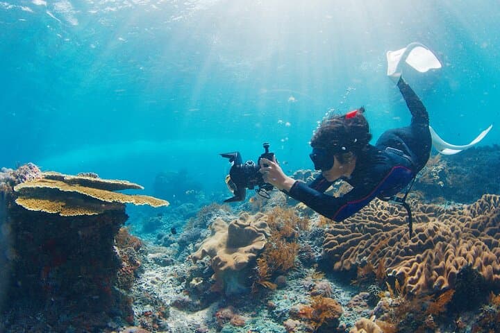 Private Nusa Penida West Tour with Snorkeling — Kelingking, Angel's Billabong & Manta Bay photo 5