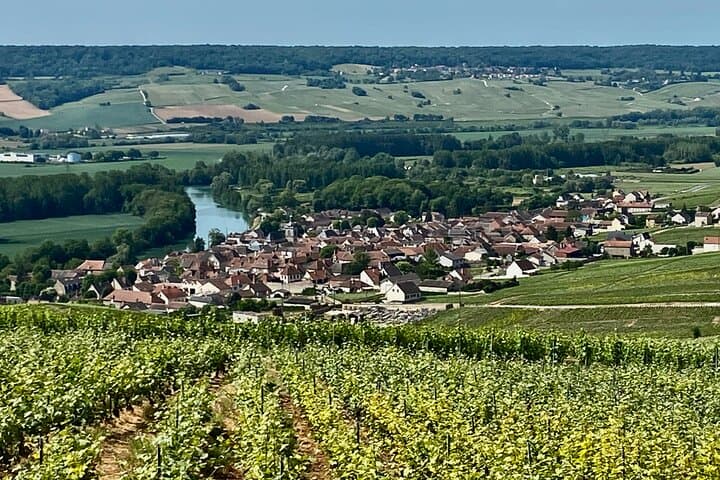 Private Champagne Day Trip from Paris — Moët & Chandon & Taittinger Cellar Tours photo 3
