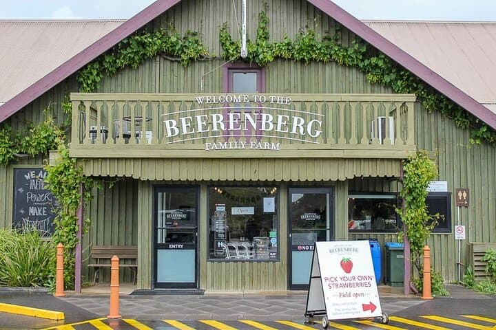 Adelaide Hills Day Tour: Hahndorf Wine, Gin & Chocolate Tastings photo 3