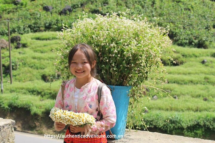 Northern Vietnam 6–8 Day Itinerary: Sapa, Ha Giang, Ban Gioc & Ba Be photo 1