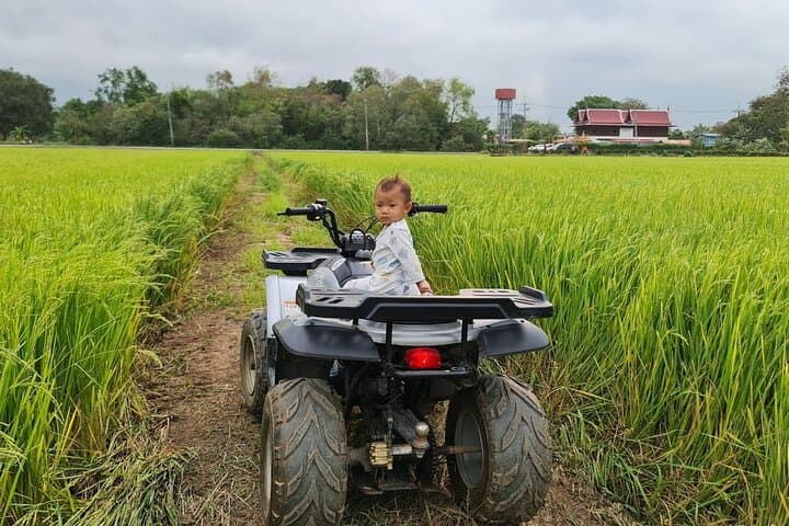 ATV Ride Through Ayutthaya's Cultural Triangle: Countryside Ruins Tour