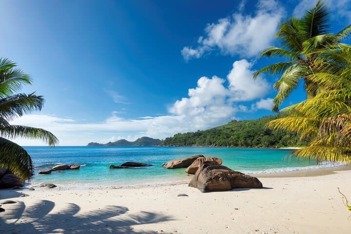 Private Full-Day Cayo Arena (Paradise Island) Speedboat & Snorkel Tour from Puerto Plata
