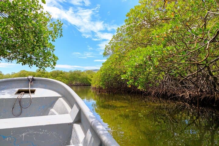 Private Full-Day Cayo Arena (Paradise Island) Speedboat & Snorkel Tour from Puerto Plata photo 3