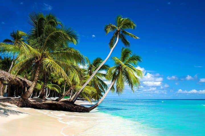 Saona Island Full-Day Private Tour from Punta Cana — Private Boat & Beach Experience photo 3