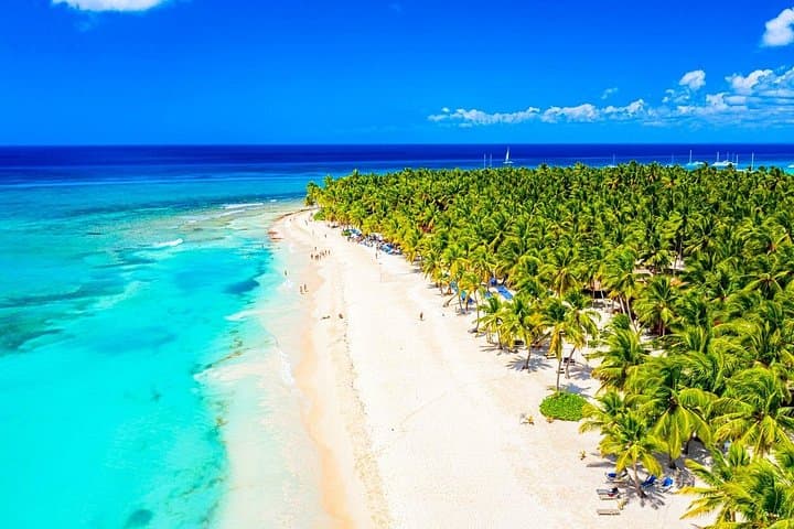 Saona Island Full-Day Private Tour from Punta Cana — Private Boat & Beach Experience photo 6