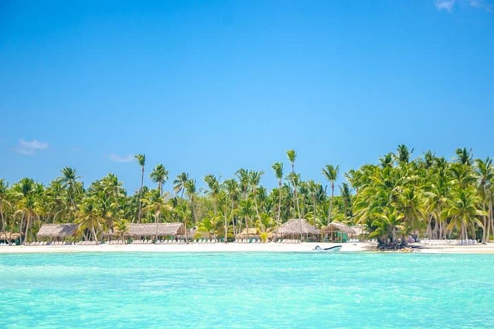 Saona Island Full-Day Private Tour from Punta Cana — Private Boat & Beach Experience photo 5