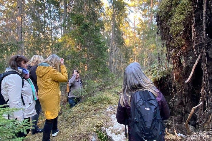 Wolf and Wildlife Tracking Near Stockholm: Sweden Wolf Safari Experience photo 1