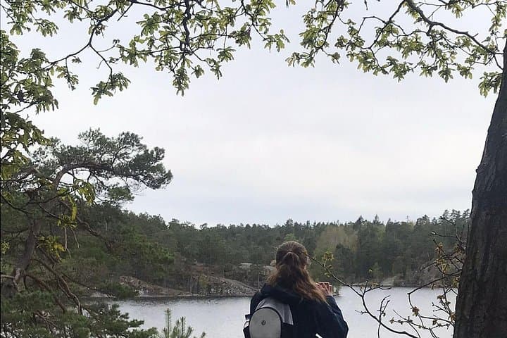 Wolf and Wildlife Tracking Near Stockholm: Sweden Wolf Safari Experience photo 3