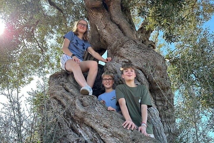 E-bike Tour Ostuni: Olive Mill, Dolmen & Ancient Olive Groves photo 2