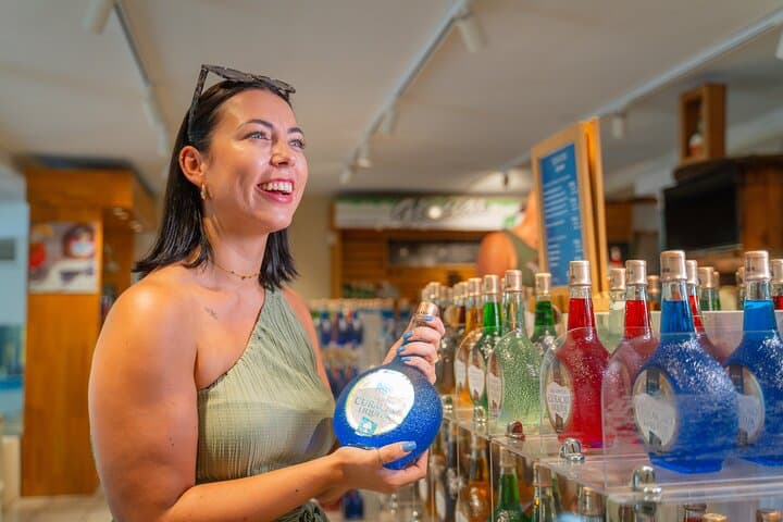 Curaçao Island Tour: Blue Liqueur, Shete Boka & Knip Beach Day Trip