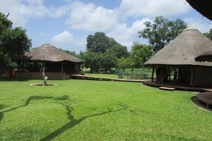 Fathala Game Reserve Safari: 10-Hour Private Tour from Dakar