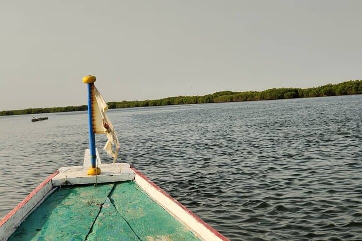 Sine Saloum Delta Canoe Tour: Private Guided Excursion from Dakar photo 5