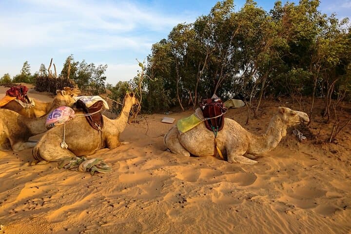 2-Day Private Tour: Lac Rose, Saint‑Louis & Djoudj Bird Reserve photo 5