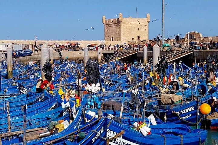 Essaouira Day Trip from Marrakech: Coastal Medina, Ramparts & Surf