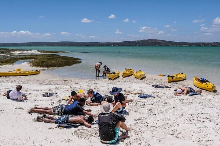 Kayak Around Schaapen Island in Langebaan Lagoon — 2‑Hour Guided Tour photo 5