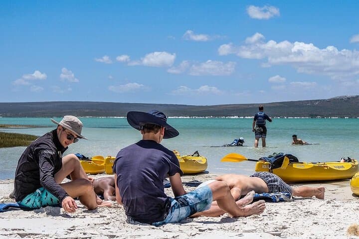 Kayak Around Schaapen Island in Langebaan Lagoon — 2‑Hour Guided Tour photo 6