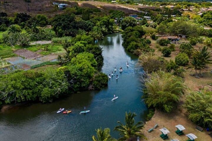 North Shore Farm & Anahulu River Kayak: Turtles, Lunch & Local Flavors photo 1