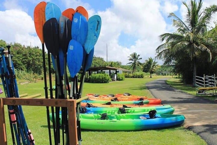 North Shore Farm & Anahulu River Kayak: Turtles, Lunch & Local Flavors photo 4