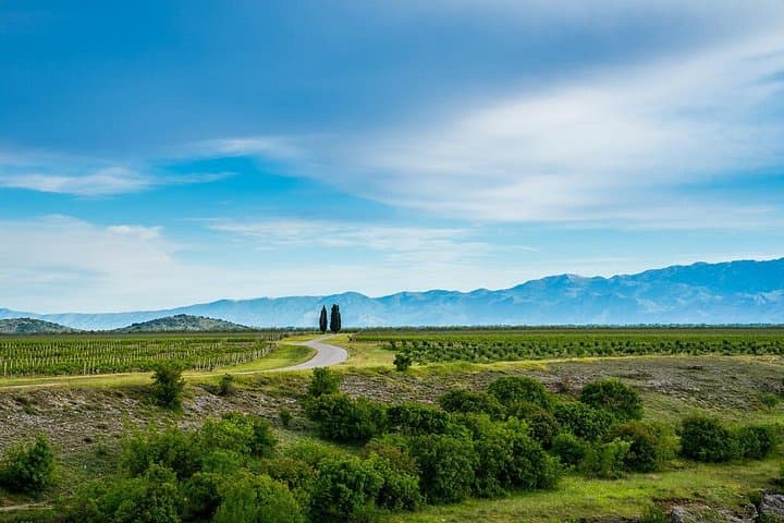 Full-Day Private Podgorica Wine Tour: Plantaze, Šipčanik & Cijevna Waterfall