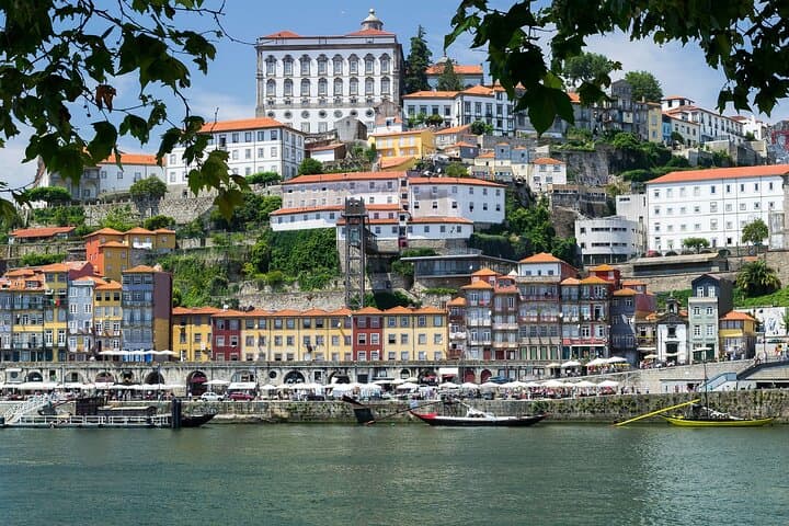Private Full-Day Porto Tour: Clerigos, Ribeira & Douro Highlights