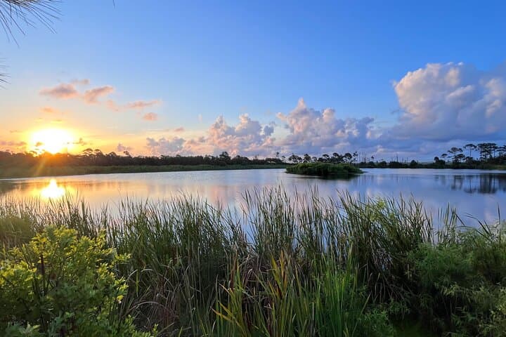 St. Andrews State Park Self-Guided E‑Bike & Cruiser Bike Tour from Panama City Beach photo 6