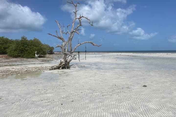Private Sandbar Adventure in Key West Backcountry — Snorkel, Paddle & Wildlife at Snipe Keys photo 5