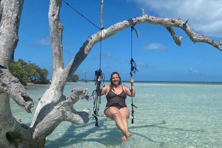 Private Sandbar Adventure in Key West Backcountry — Snorkel, Paddle & Wildlife at Snipe Keys photo 6
