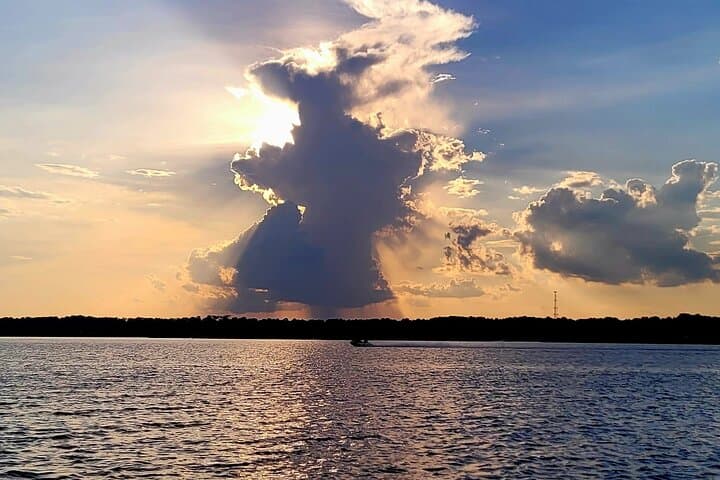 Private Sunset Dolphin and Birdwatching Cruise in Savannah's Lowcountry photo 4