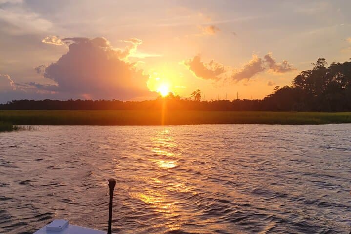 Private Sunset Dolphin and Birdwatching Cruise in Savannah's Lowcountry photo 5