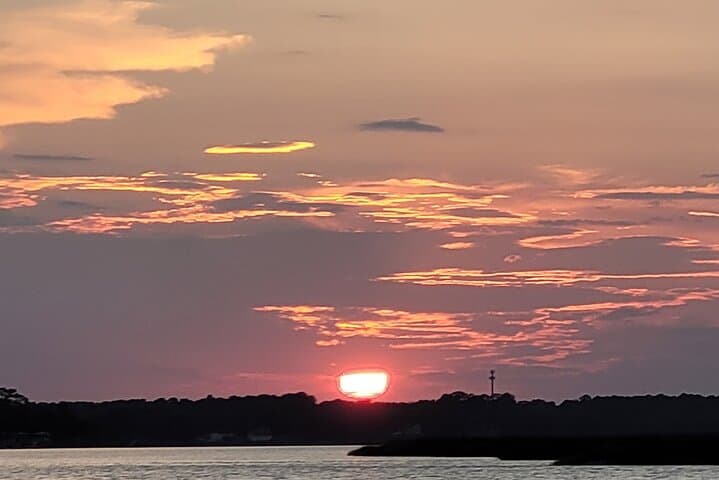 Private Sunset Dolphin and Birdwatching Cruise in Savannah's Lowcountry photo 6