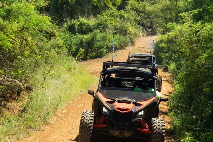 St. Thomas UTV Adventure: Crown Bay to North-Side Trails